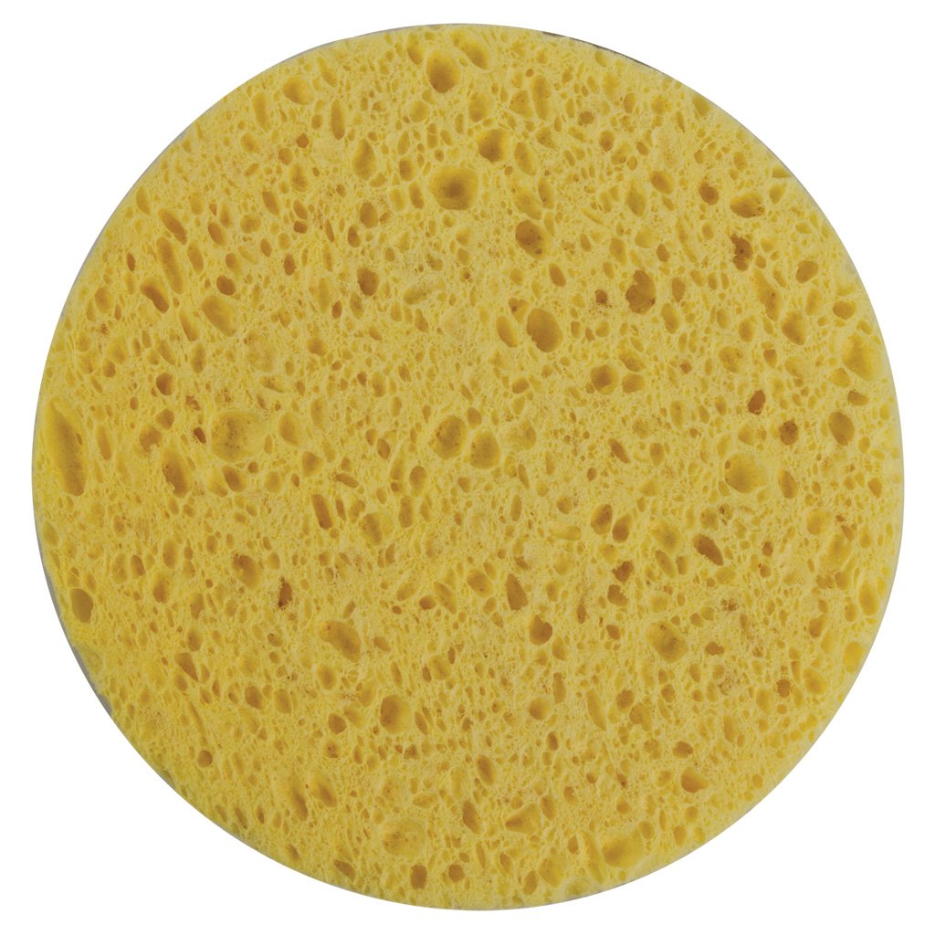 Front of individual sponge