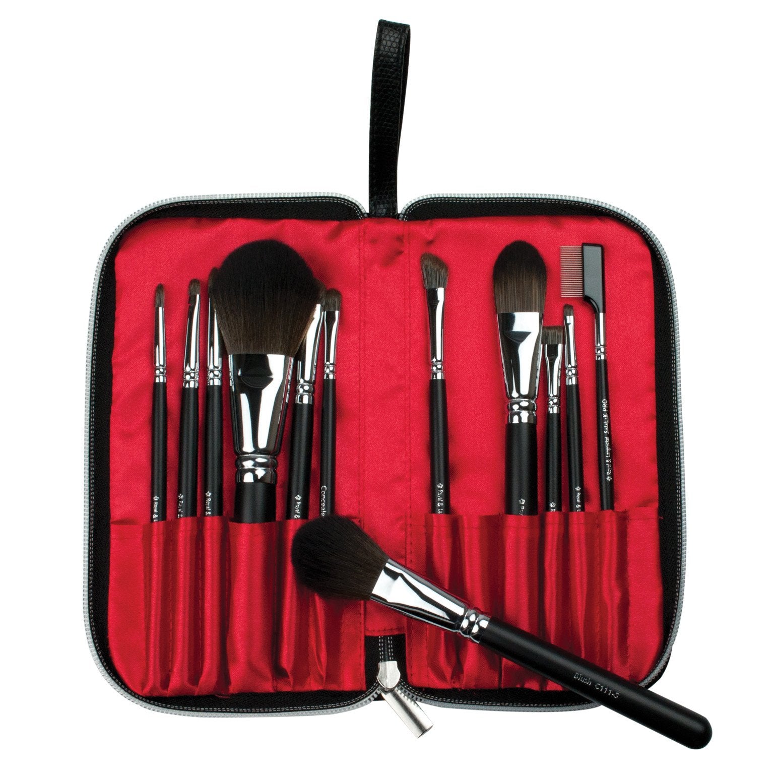 Makeup Brushes in Zippered Travel Case