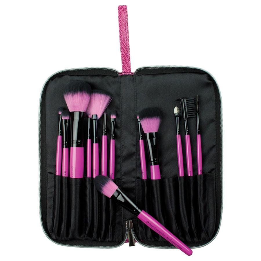 Makeup Brushes in Zippered Travel Case